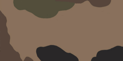 CCE Camoufalge