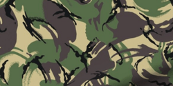 DPM Camouflage