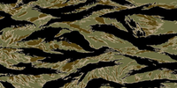 Tiger Stripe