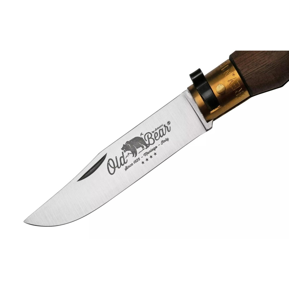 Couteau de poche Antonini Old Bear Lame en acier inoxydable de 8 cm Manche en bois de noyer