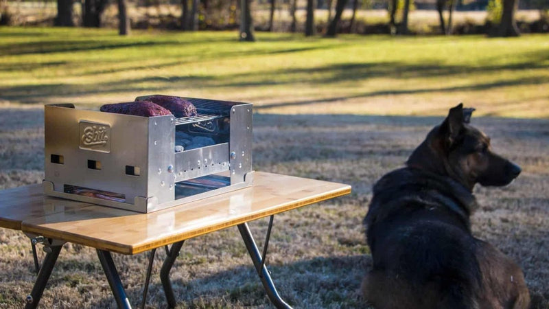 Compact ESBIT fold-away charcoal grill cooking food outdoors on portable table with dog nearby in sunny park