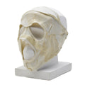 Masque facial militaire néerlandais original résistant aux flammes en aramide pour temps froid, blanc