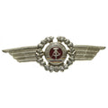 Originele Oost -Duitse NVA DDR Army Military Cap Hat Cockade Pin Badge Officer