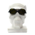WWII Echte Zwitserse leger Mountain Round Round Goggles Protection Glass W Box